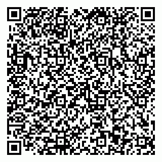 vCard 79110403258