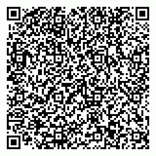 vCard 79110403261