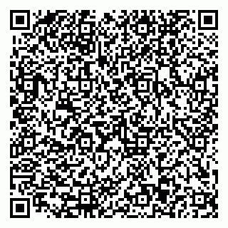 vCard 79110403262