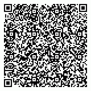 vCard 79110403263