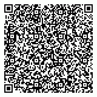 vCard 79110403273