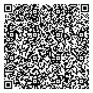 vCard 79110403281