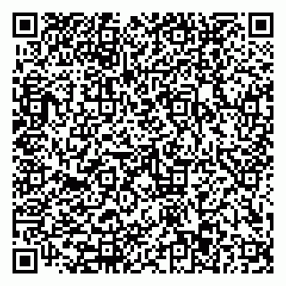 vCard 79110403285