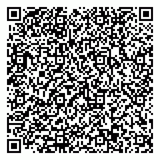 vCard 79110403287