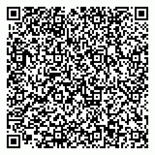 vCard 79110403289