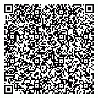 vCard 79110403290