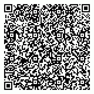vCard 79110403291