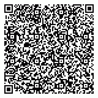 vCard 79110403293