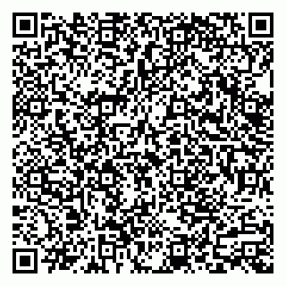 vCard 79110403295