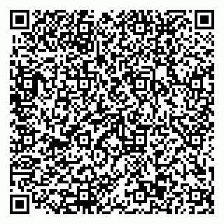 vCard 79110403296