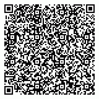 vCard 79110403299