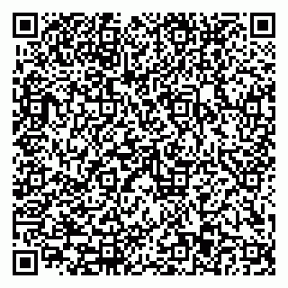 vCard 79110403301