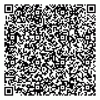 vCard 79110403304