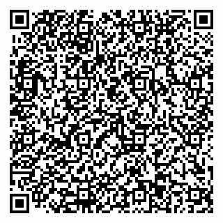 vCard 79110403305