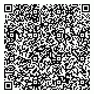 vCard 79110403306