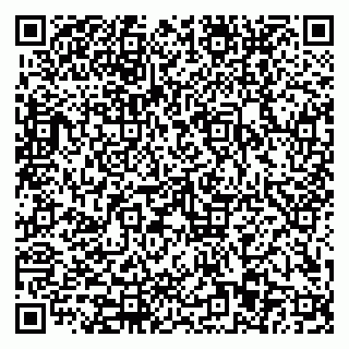 vCard 79110403308