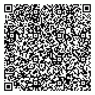 vCard 79110403333