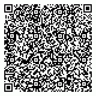 vCard 79110403335