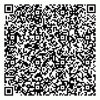 vCard 79110403363
