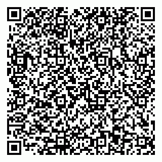 vCard 79110403369