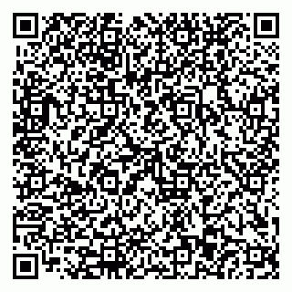 vCard 79110403370
