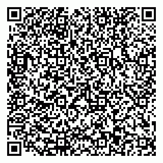 vCard 79110403371