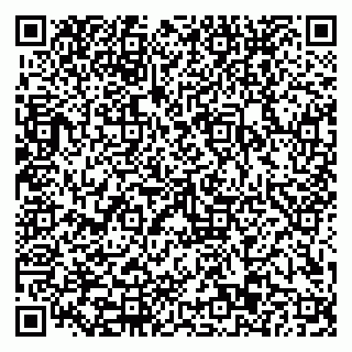 vCard 79110403376