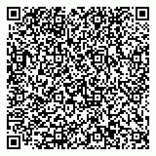 vCard 79110403377