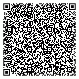 vCard 79110403379