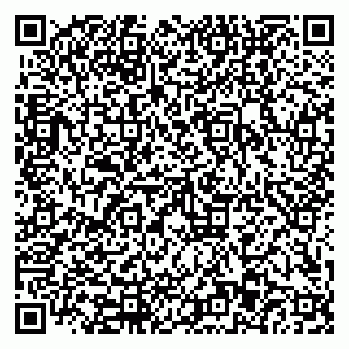 vCard 79110403380