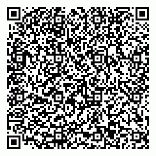 vCard 79110403383