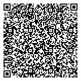 vCard 79110403385
