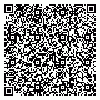 vCard 79110403387