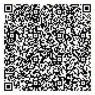 vCard 79110403389