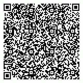 vCard 79110403391