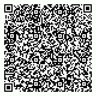 vCard 79110403395