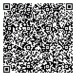 vCard 79110403501