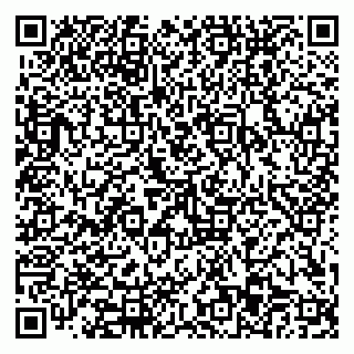 vCard 79110403531