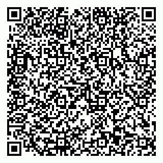 vCard 79110403532