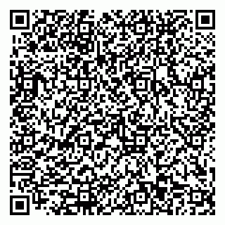 vCard 79110403533