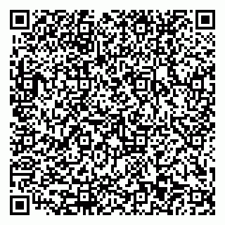 vCard 79110403540
