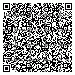 vCard 79110403541