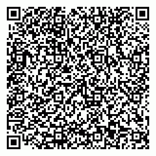 vCard 79110403571