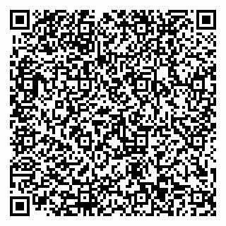 vCard 79110403583