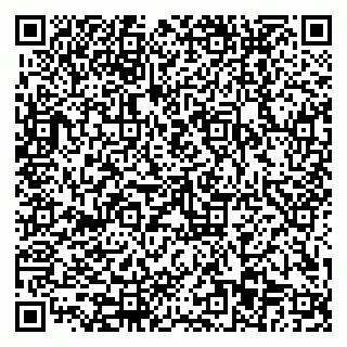 vCard 79110403589