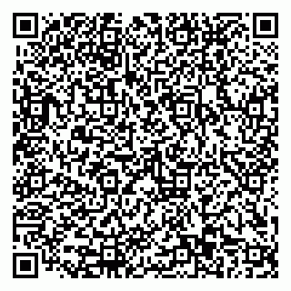 vCard 79110403597