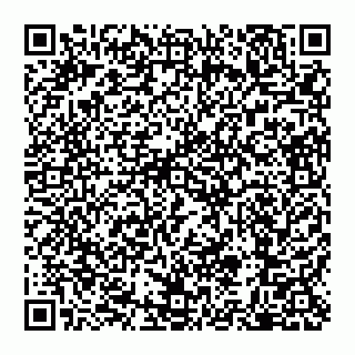 vCard 79110650020