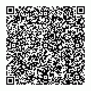 vCard 79110650021