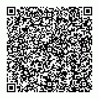 vCard 79110650029