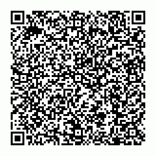 vCard 79110650031